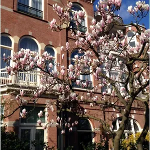 https://irenes-palace.thehaguehotels.net